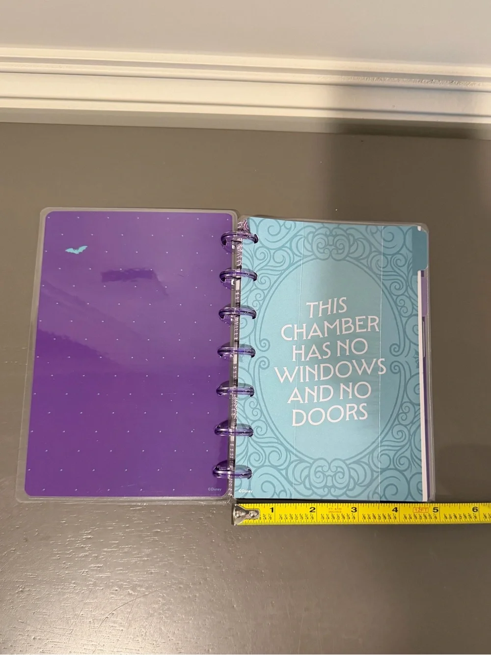 Happy Planner Haunted Mansion Mini Notebook